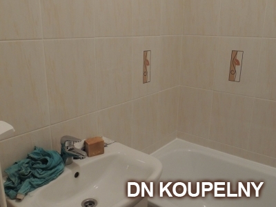 55-775-koupelna-bez-bourani-ostrava-small.jpg